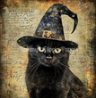 Witch, Please Tissue Paper - Flippin Furniture