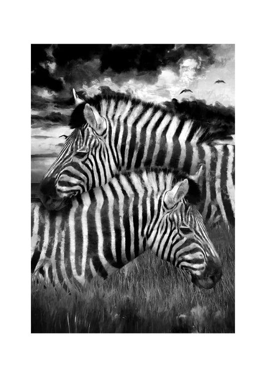 Zebras - Decoupage Paper - MINT/GGS