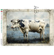 Moo Cow Portrait Rice Paper (871) - Carte Italiano