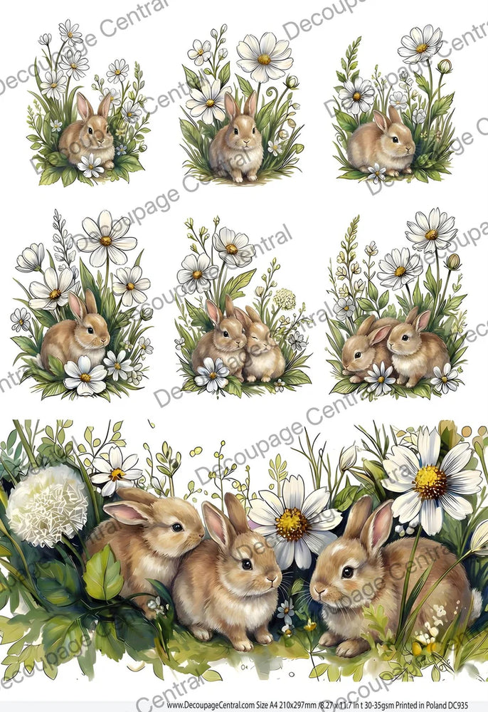 Daisy Meadow Bunnies Rice Paper (DC935) - Decoupage Central