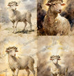 Four Lambs of Faith Rice Paper (DC941) - Decoupage Central