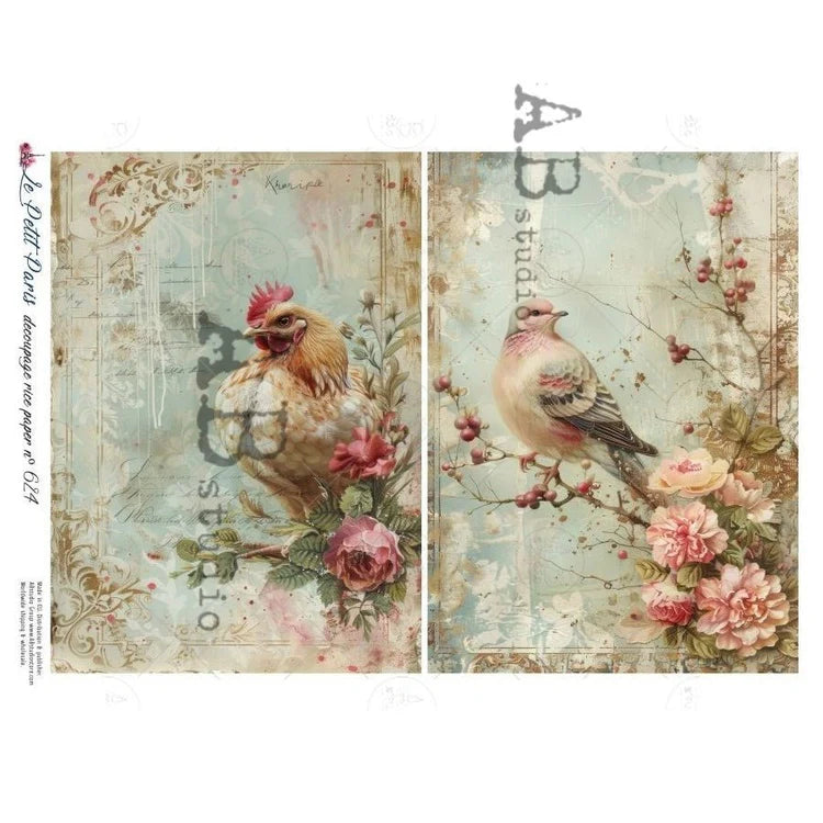 Garden Bird & Hen Duo Rice Paper (624) - Le Petit Paris/AB Studios