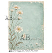 Sea Glass Daisies (#7400) Rice Paper - AB Studios