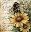 Sunflowers & Love Letters Rice Paper (DC905) - Decoupage Central