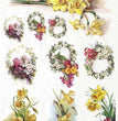Spring Impressions Paper Pack (11 Papers) - Decoupage Queen