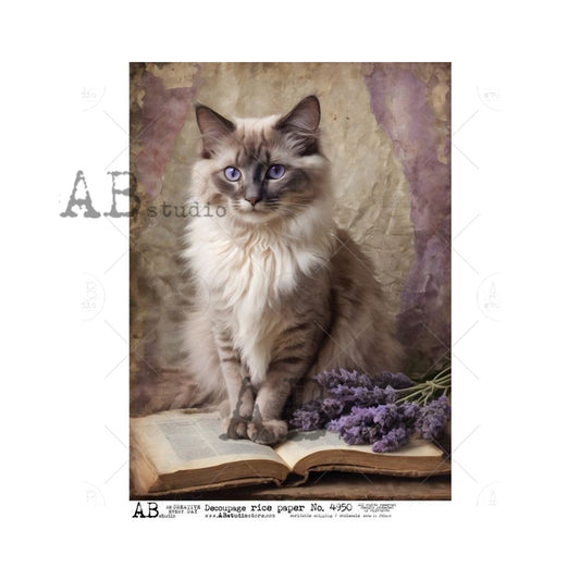Lavender Kitty on a Book (#4950) Rice Paper- AB Studios  Decoupage Queen