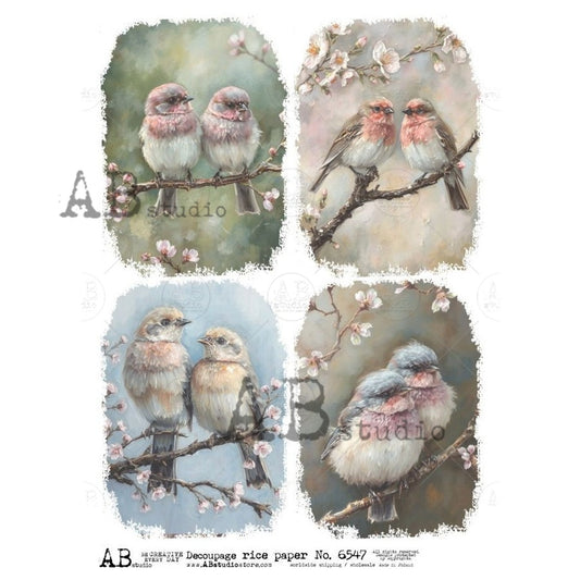 4 Pastel Birds (#6547) Rice Paper- AB Studios