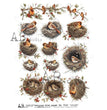 Cardinal Nests & Winter Sprigs (#7172) Rice Paper- AB Studios  Decoupage Central