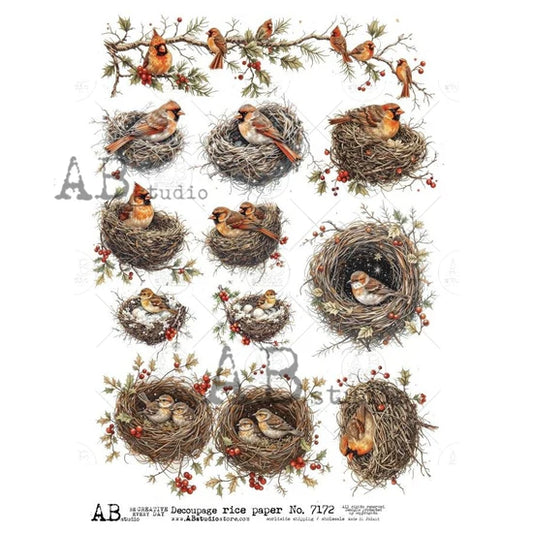 Cardinal Nests & Winter Sprigs (#7172) Rice Paper- AB Studios  Decoupage Central