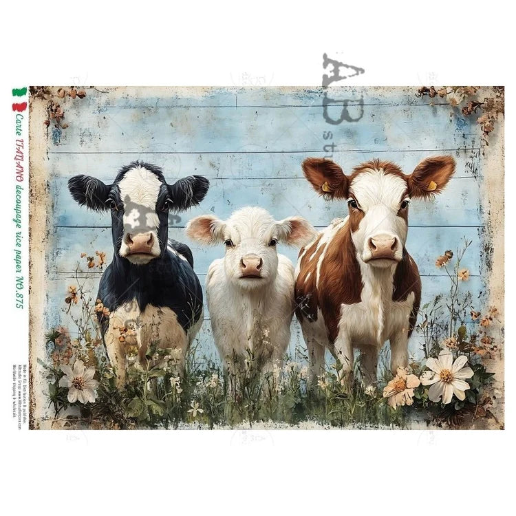 Cow Portrait Rice Paper (875) - Carte Italiano
