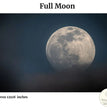 Full Moon Decoupage Paper - Painting Lady Designs