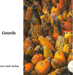 Gourds Decoupage Paper - Painting Lady Designs