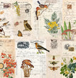 Fall Botanical Blocks - Roycycled Decoupage Paper