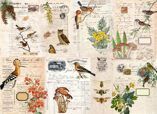 Fall Botanical Blocks - Roycycled Decoupage Paper