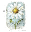 Daisy Dreams Rice Paper (119) - Le Petit Paris/AB Studios