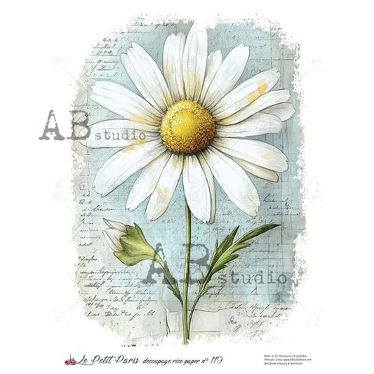 Daisy Dreams Rice Paper (119) - Le Petit Paris/AB Studios