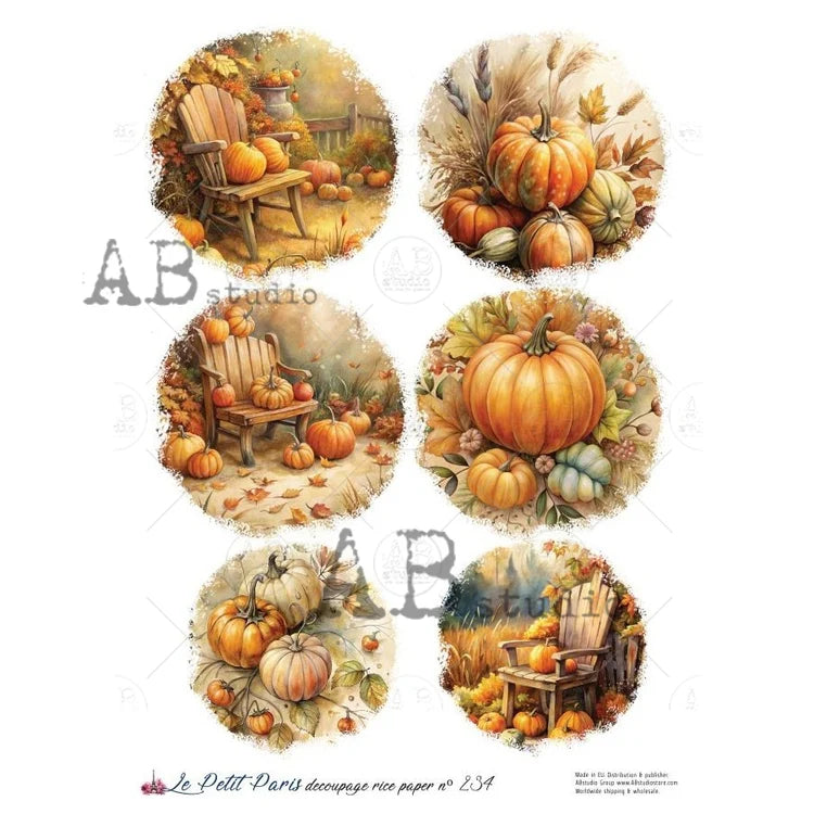 Pumpkin Porch Rounds Rice Paper (234) - Le Petit Paris/AB Studios