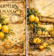 Lemonade Stand Almanac Rice Paper (DC911) - Decoupage Central