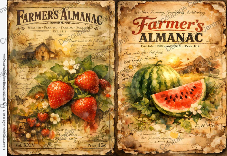 Strawberry & Melon Almanac Rice Paper (DC913) - Decoupage Central