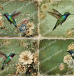 Jewel Tone Hummingbird Quartet Rice Paper (DC974) - Decoupage Central