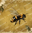 Golden Bee in Bloom Rice Paper (DC976) - Decoupage Central