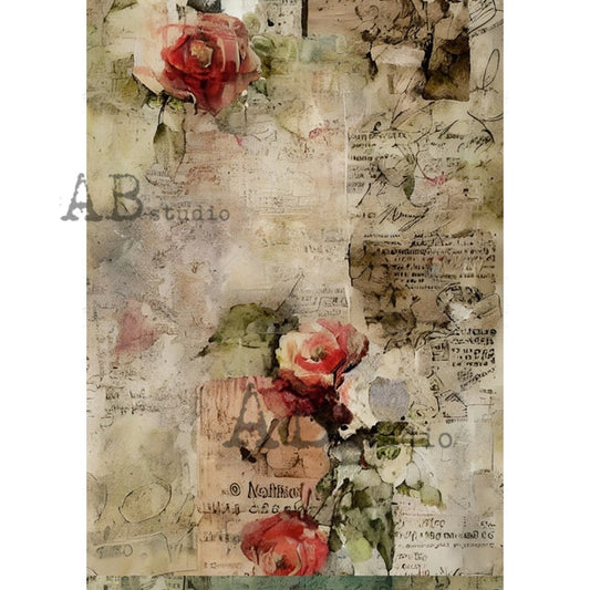 Textured Wall Rose Florals (#1805) - AB Studios