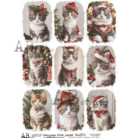 Christmas Kittens 9 Pack (#2579) Rice Paper- AB Studios  Decoupage Queen