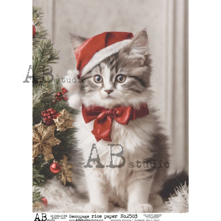 Kittens Portrait (#2583) Rice Paper- AB Studios