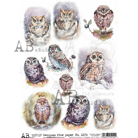 Watercolor Owls Rice Paper (#1278) - Decoupage Queen