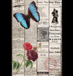 In The News Today Decoupage Tissue - Deborah Bucher Designs