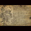 French Script Ephemera Decoupage Tissue - Deborah Bucher
