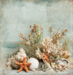 Collected by the Sea Tissue Paper - Flippin Furniture