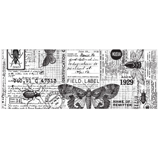 Entomology Collage Paper - NTS