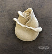 Rosebud (Pack of 5) - WoodUbend