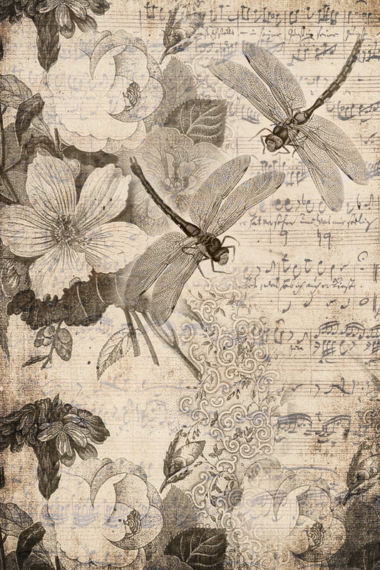 Musical Dragon Flies - Roycycled Decoupage Paper