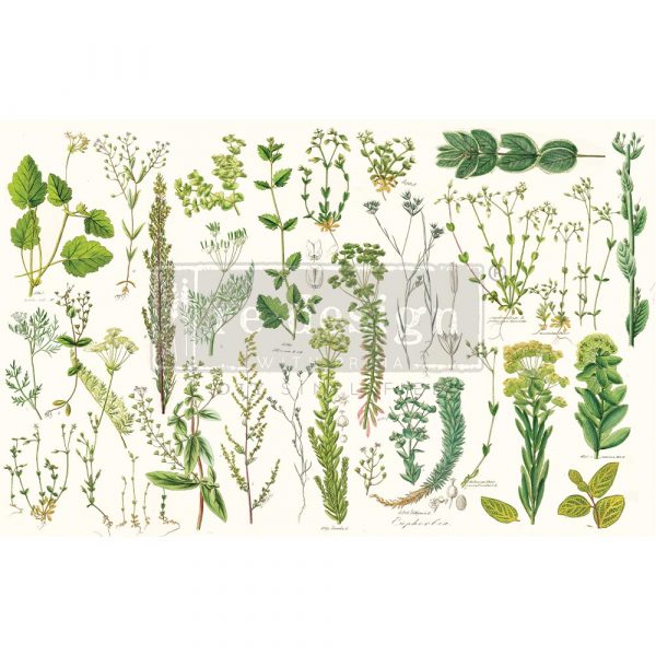Greenery - ReDesign Decoupage Tissue Paper