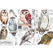 Owl, 6"x12" - ReDesign Small Decor Transfer