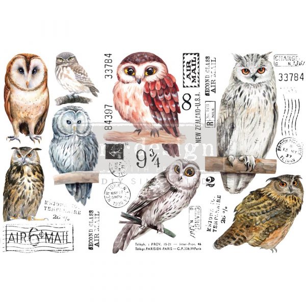 Owl, 6"x12" - ReDesign Small Decor Transfer