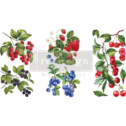 SF-Sweet Berries, 6"x12" - ReDesign Small Decor Transfer