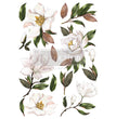 Magnolia Grandiflora Transfer, 24"x35" - ReDesign with Prima