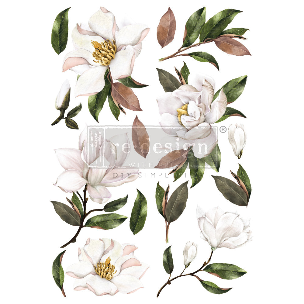 Magnolia Grandiflora Transfer, 24"x35" - ReDesign with Prima