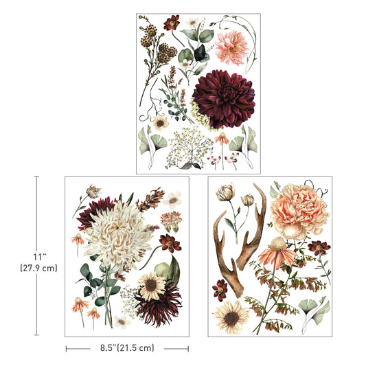 ReDesign Middy Transfers® - Willow Way - 3 sheets, 8.5"x11" / rub-ons Wall,Furniture Transfers