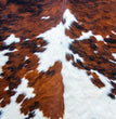 Cowhide - Roycycled Treasures
