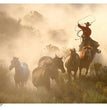 Animals 0025 (Roping Horses) Rice Paper - Paper Designs