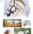 Animals 0072 (Horses) Rice Paper - Paper Designs
