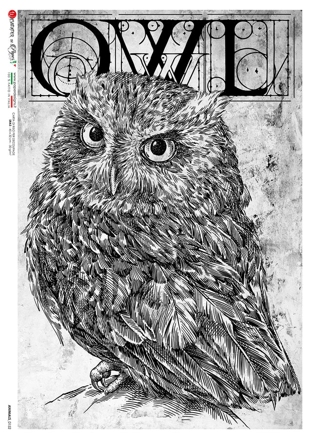 Animals 0152 (Owl) Rice Paper- Decoupage Queen