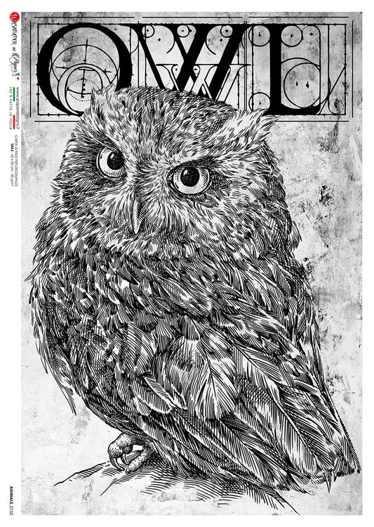 Animals 0152 (Owl) Rice Paper- Paper Designs