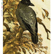 Artwork 0120 (Black Raven) Rice Paper - Paper Designs