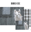 Bruce Decoupage Pack - HP