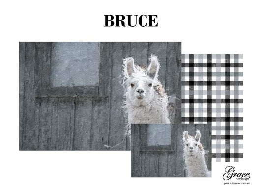 Bruce Decoupage Pack - HP